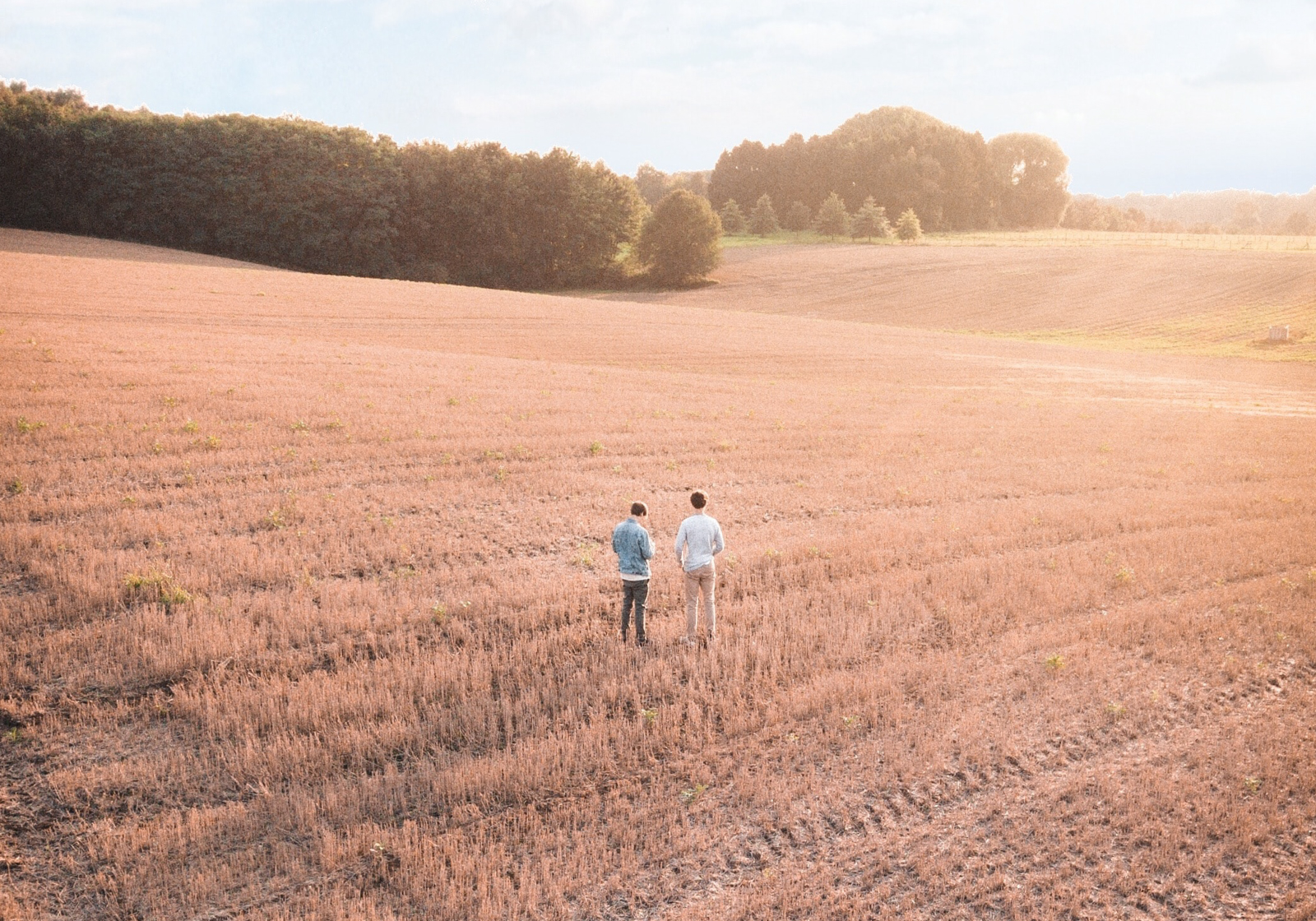 Why You Should Buy Eat Support Local Agriculture Libro Why You Should Buy Eat Support Local Agriculture Libro