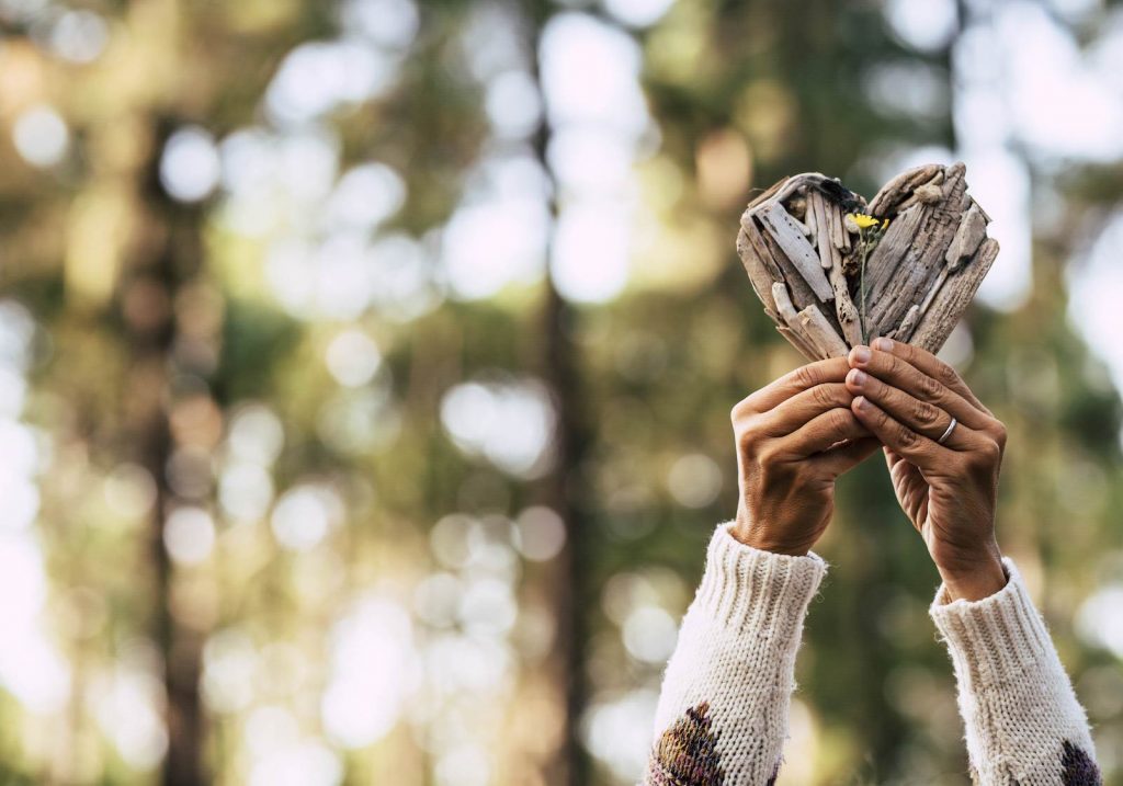 Arms holding up love-heart shaped sticks in a woodland setting
