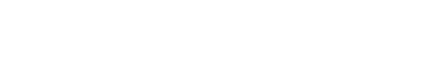 Libro + InterVal Logo