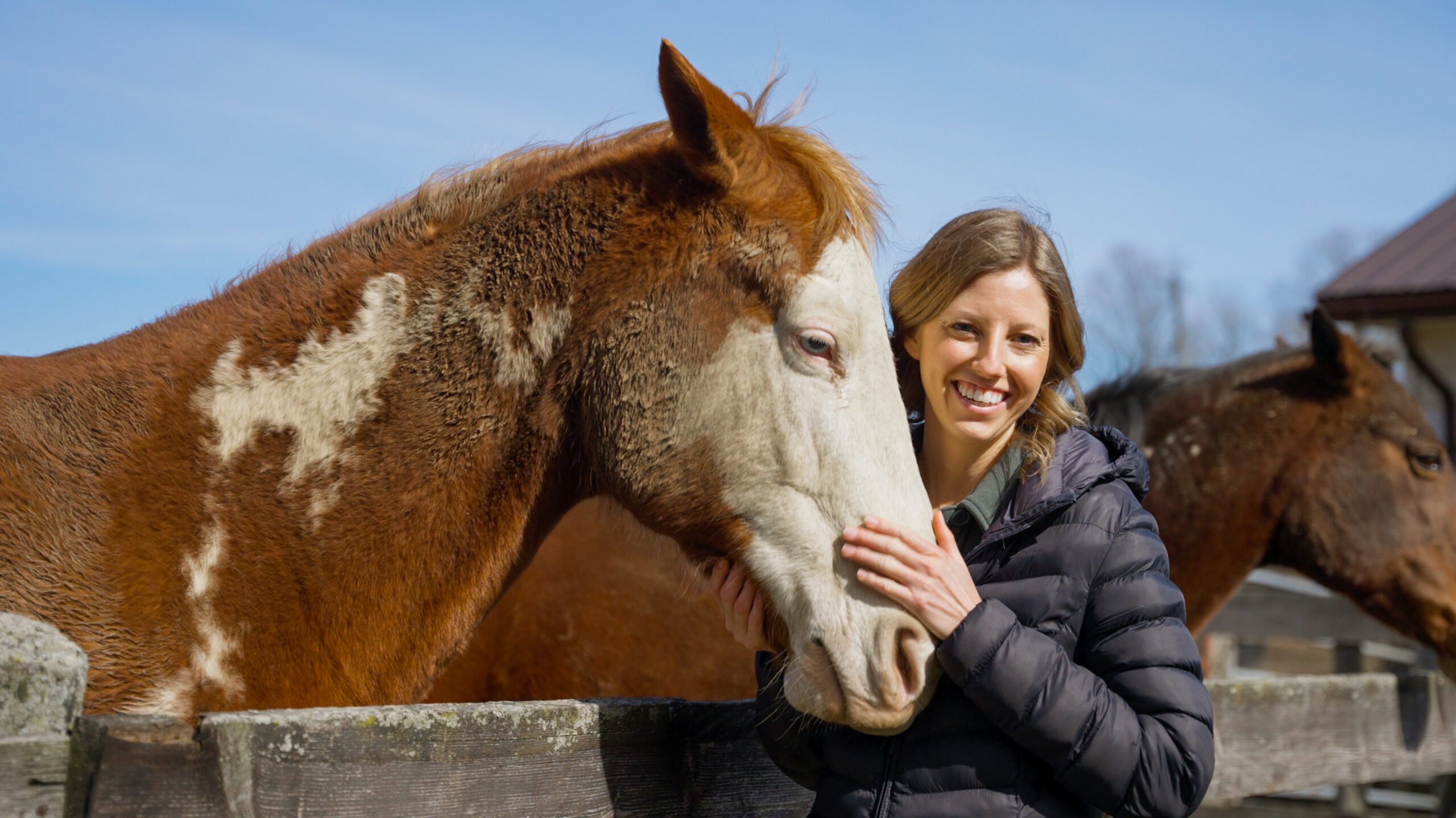 Libro Owner, Lisa