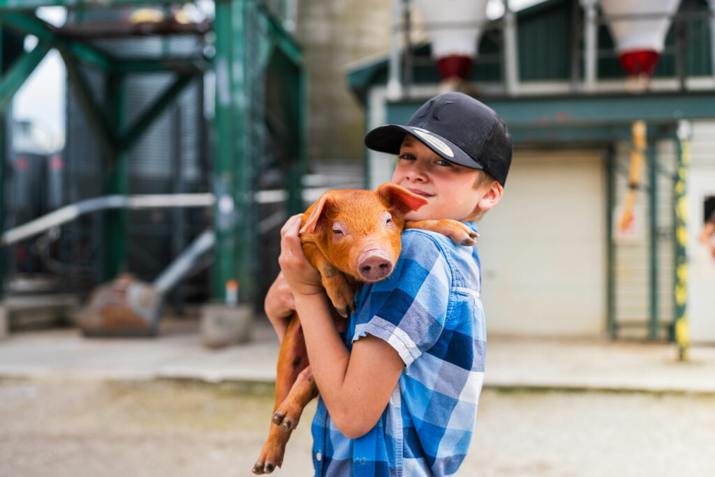 A boy in a blue plaid shirt and black cap holds a piglet outside near farm buildings and equipment.